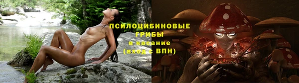 марки lsd Алексеевка