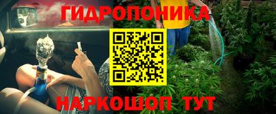 спиды Донской