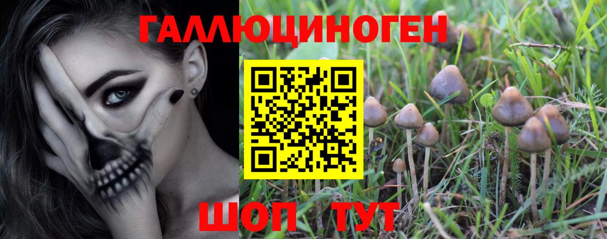 Галлюциногенные грибы прущие грибы  Вход с VPN  Пушкино 